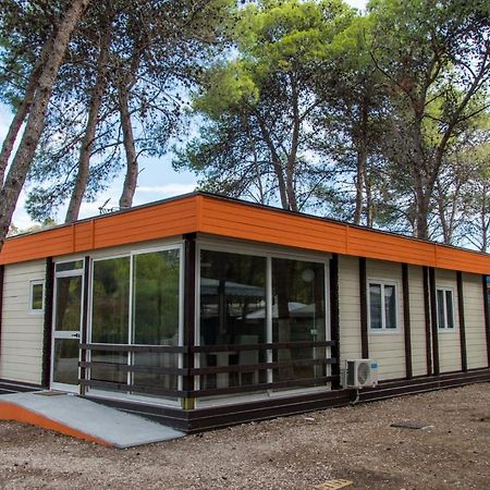 Policoro Village Hotel Εξωτερικό φωτογραφία