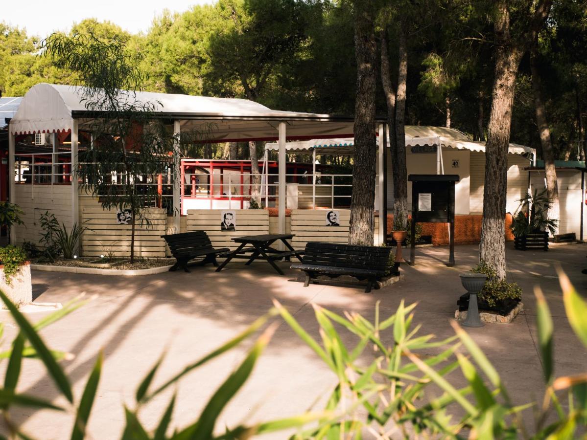 Policoro Village Hotel Εξωτερικό φωτογραφία
